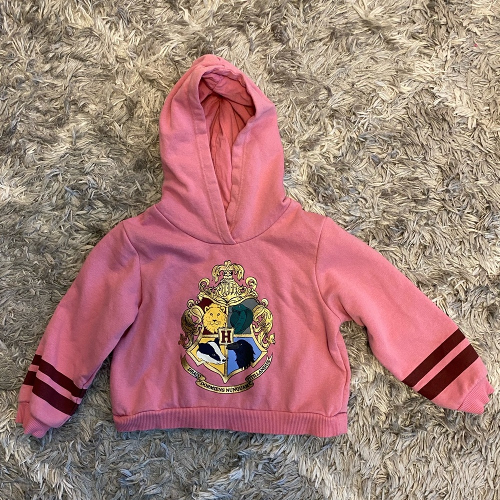 Harry Potter x H&M Hoodie